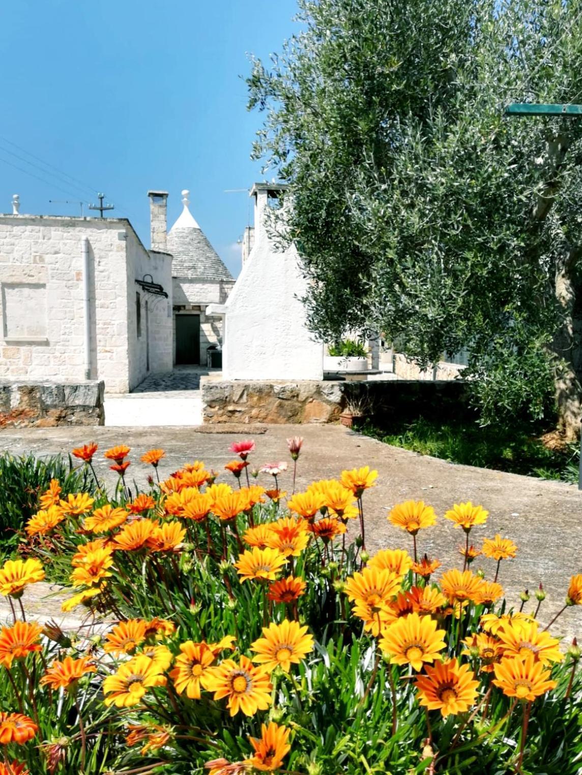 Сasa de vacaciones Maison Milleottocento